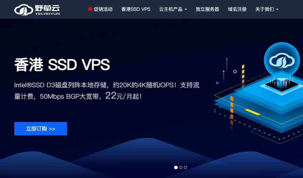 野草云香港VPS测评介绍 - 最低22元/月